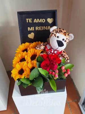 Latidos del corazón